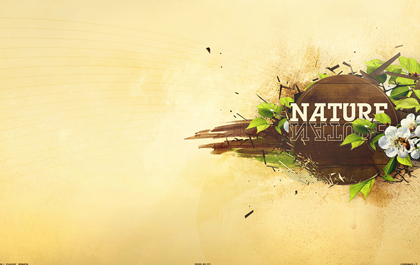 ddos攻击防御手段